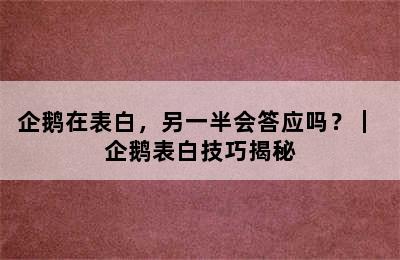 企鹅在表白，另一半会答应吗？｜ 企鹅表白技巧揭秘